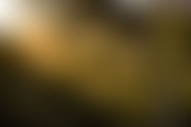 The importance of nature-based carbon offsets in achieving Net-Zero goals