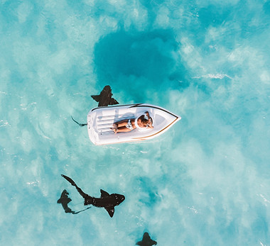 Image by Jared Rice