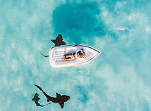 Image by Jared Rice