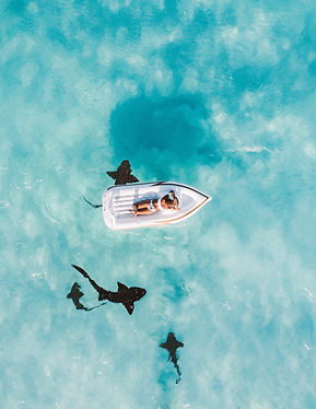 Image by Jared Rice
