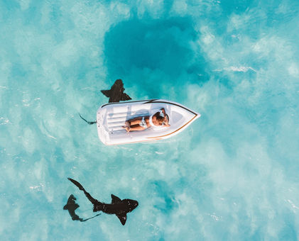 Overhead shot of boat in the bahamas surrounded by sea life