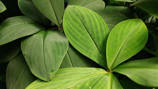 Image by Olena Shmahalo