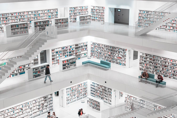 Image by Sara Kurfeß