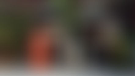 A Cultura dos Dialetos Japoneses: Diferenças Regionais no Idioma