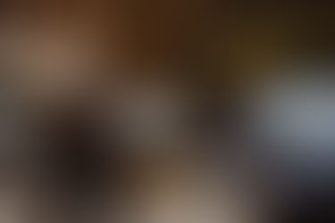 2 BPC/LOAS na mesma família?