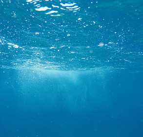 Image by Krystian Tambur