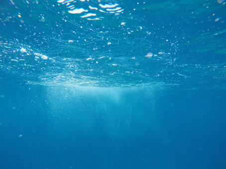Angolo CuriositΓ dal mare : conosciamo qualcosa di piΓΉ sul mare