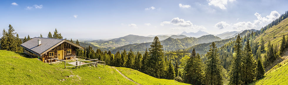 Image by Felix Mittermeier