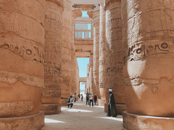 Image by Ali Hegazy