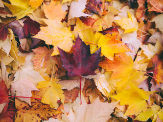 This Fall, Discover What’s New at Hydrate2O