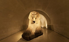 Image by Daniele D'Andreti