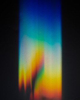 Image by Evie S.