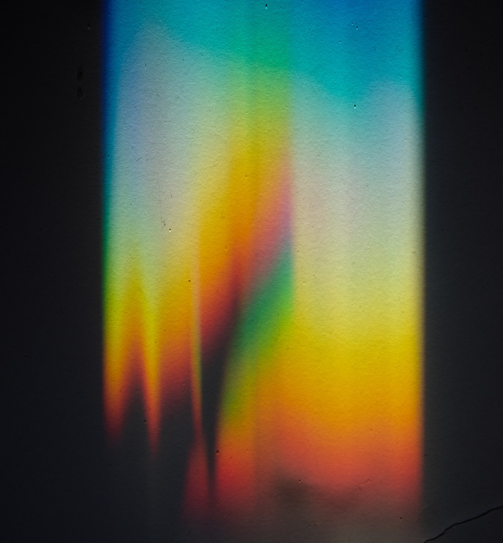 Image by Evie S.