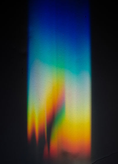 Image by Evie S.