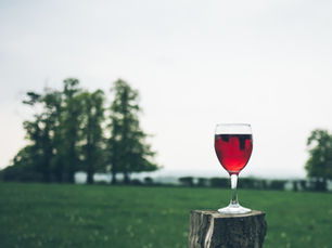 Pairing with Barbera d’Alba