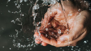 Clean Hands, Pure Heart (Sermon)