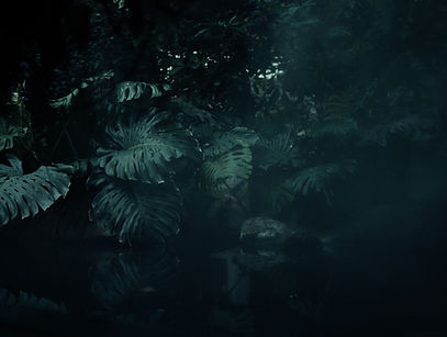 Image by Devin Kaselnak