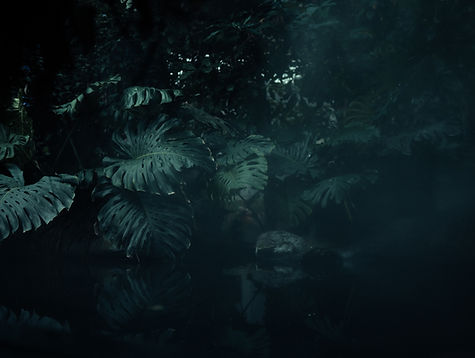 Image by Devin Kaselnak