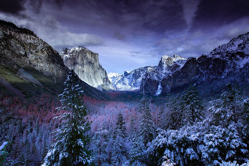 Image by James Donovan
