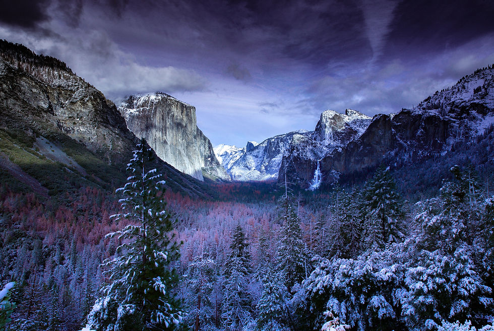 Image by jms