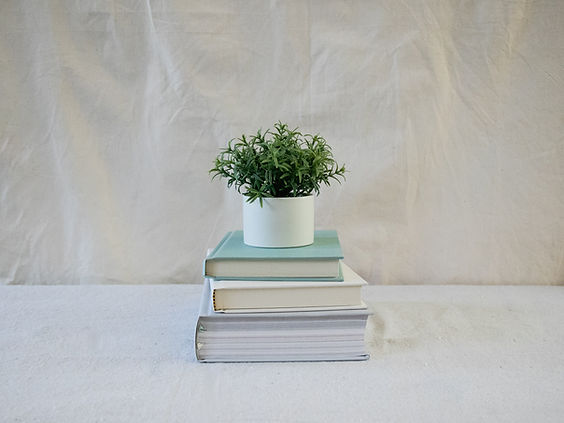 Image by Debby Hudson