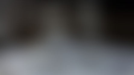 A Kiss from Rose| I Need A Refill