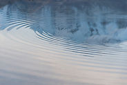 Image by Jackson Hendry