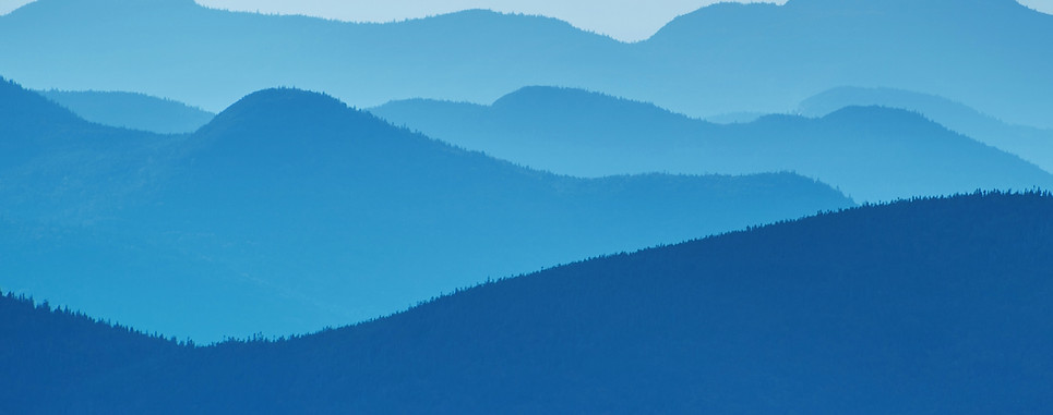 Image by Alex Shutin