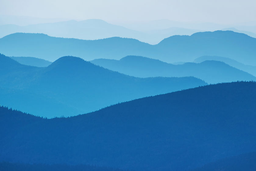 Image by Alex Shutin