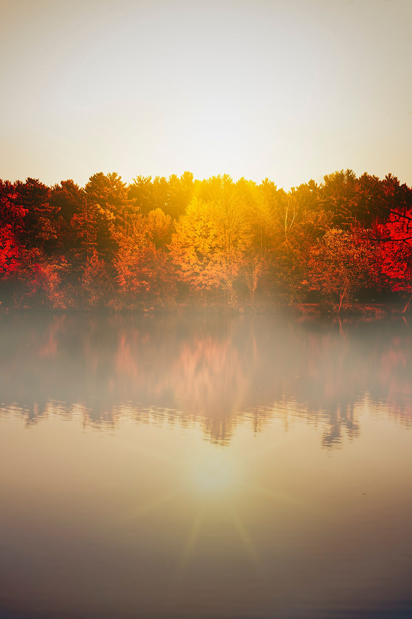 Autumn trees by water. Text: ‘Areas I have experience of working with’ with Charlene Birmingham, therapist in Hackney.