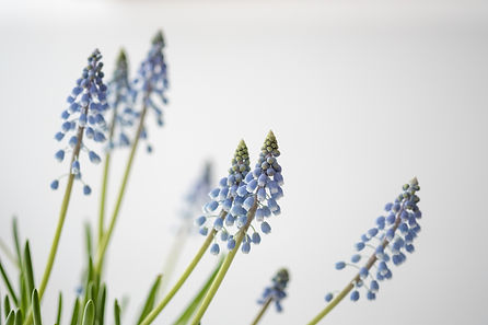 Image by Maarten Deckers
