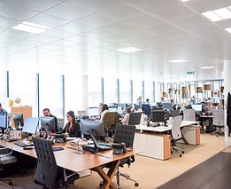 Business people working in office providing managed services