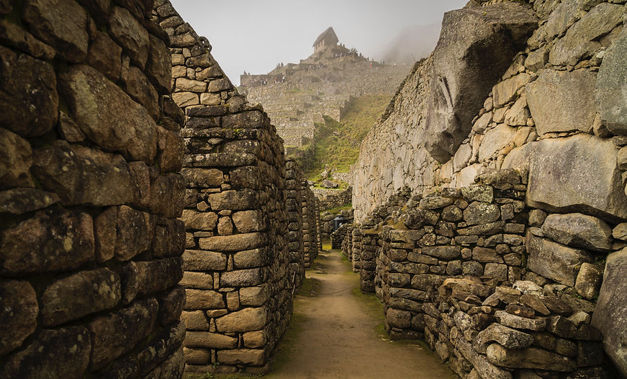 Image by Willian Justen de Vasconcellos