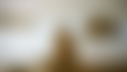 Scripture Reflection - August 4, 2019