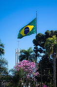 Image by Mateus Campos Felipe