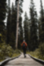 The Healthy Hiker Ladies Meetup - CREEKSIDE WEST