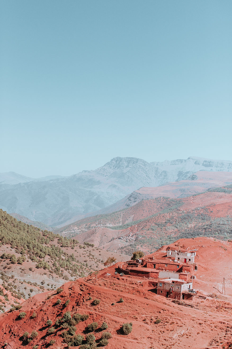 Image by Annie Spratt