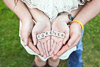 Image by Gabby Orcutt