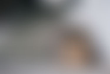 Rallye urbain à Pessac : une chasse au trésor sera proposée cet été