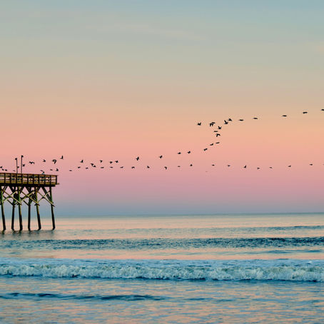 North Carolina Coast