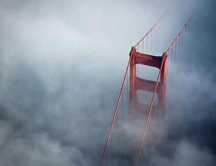 Image by Chris Leipelt