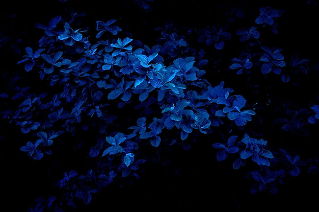 Image de Fabrizio Conti