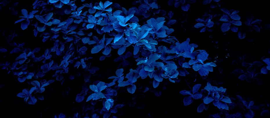 Öykü- Hatice Göz- Mavi Hırka