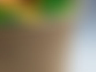 Tempeh Winter Warmer