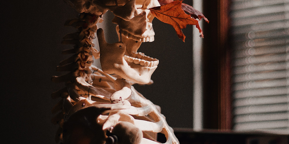 Speaking of Bones Webinar