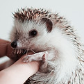 Image by Siem van Woerkom