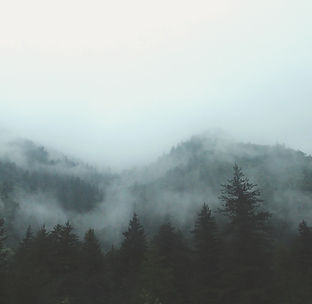 Image by Inggrid Koe