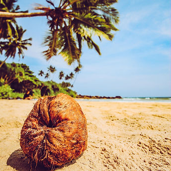 Image by Florian Wehde