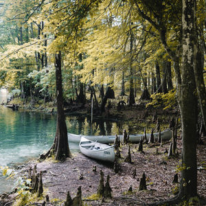 Creek Canoeing