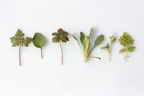 Image by Angèle Kamp